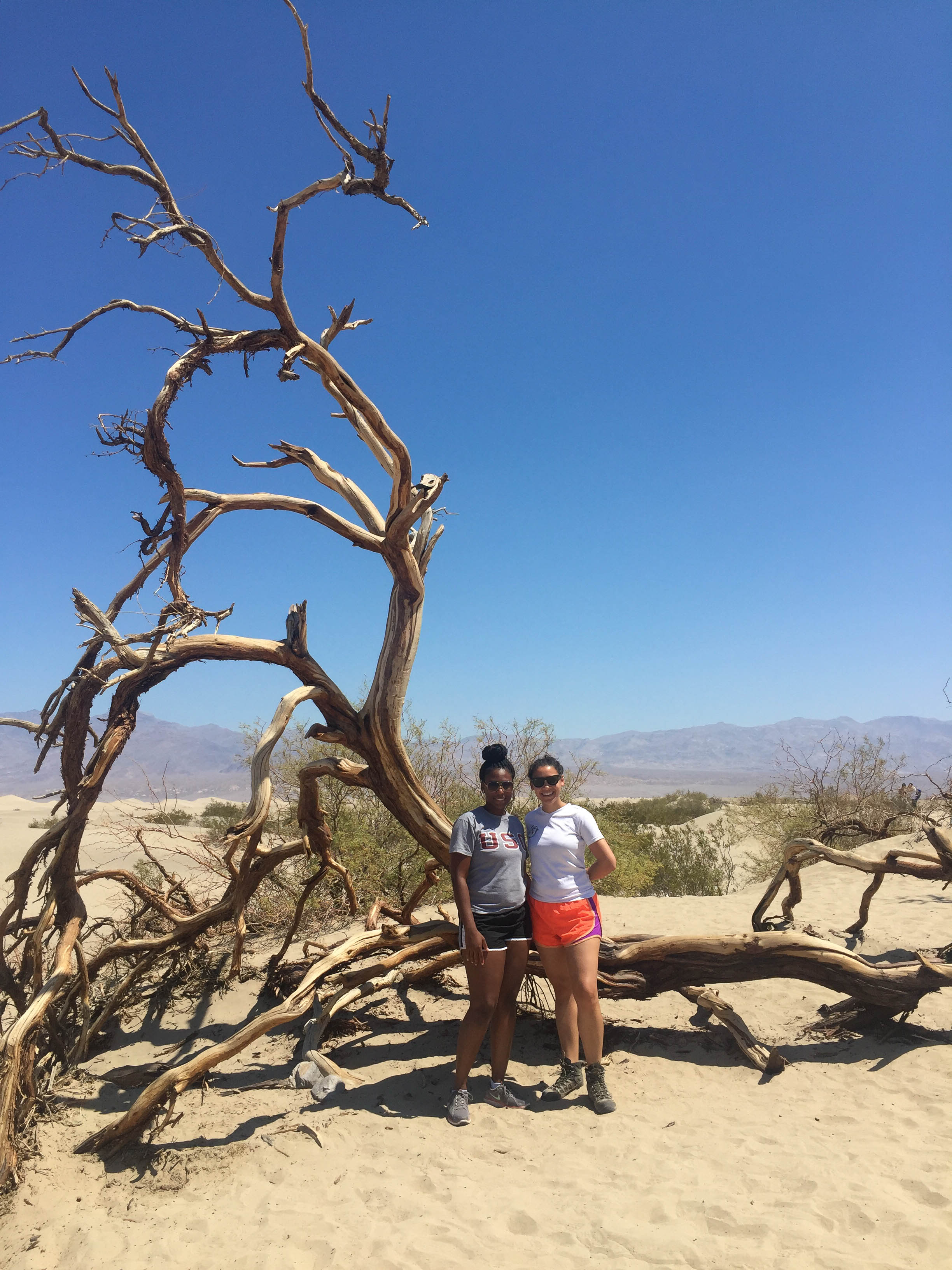 Death Valley Tour (11 of 13)