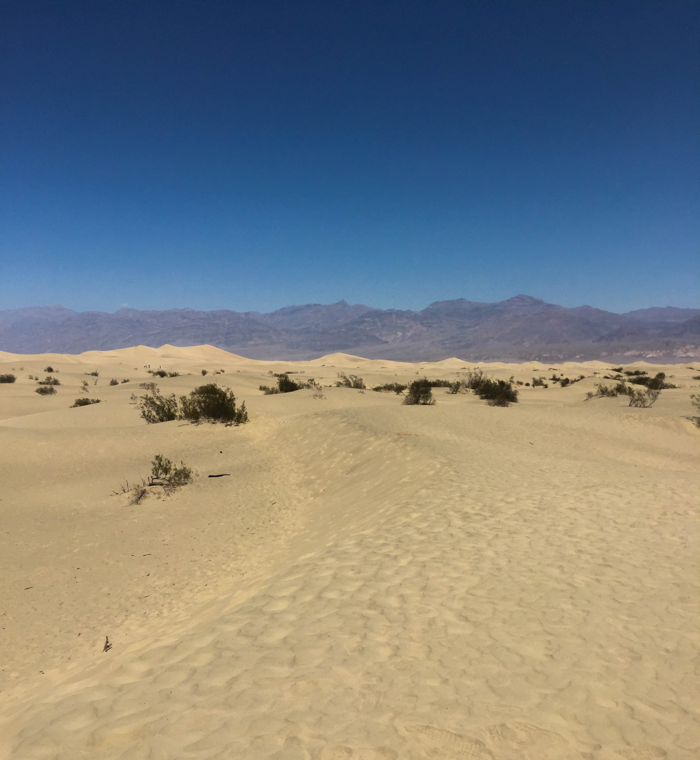 Death Valley Tour (12 of 13)