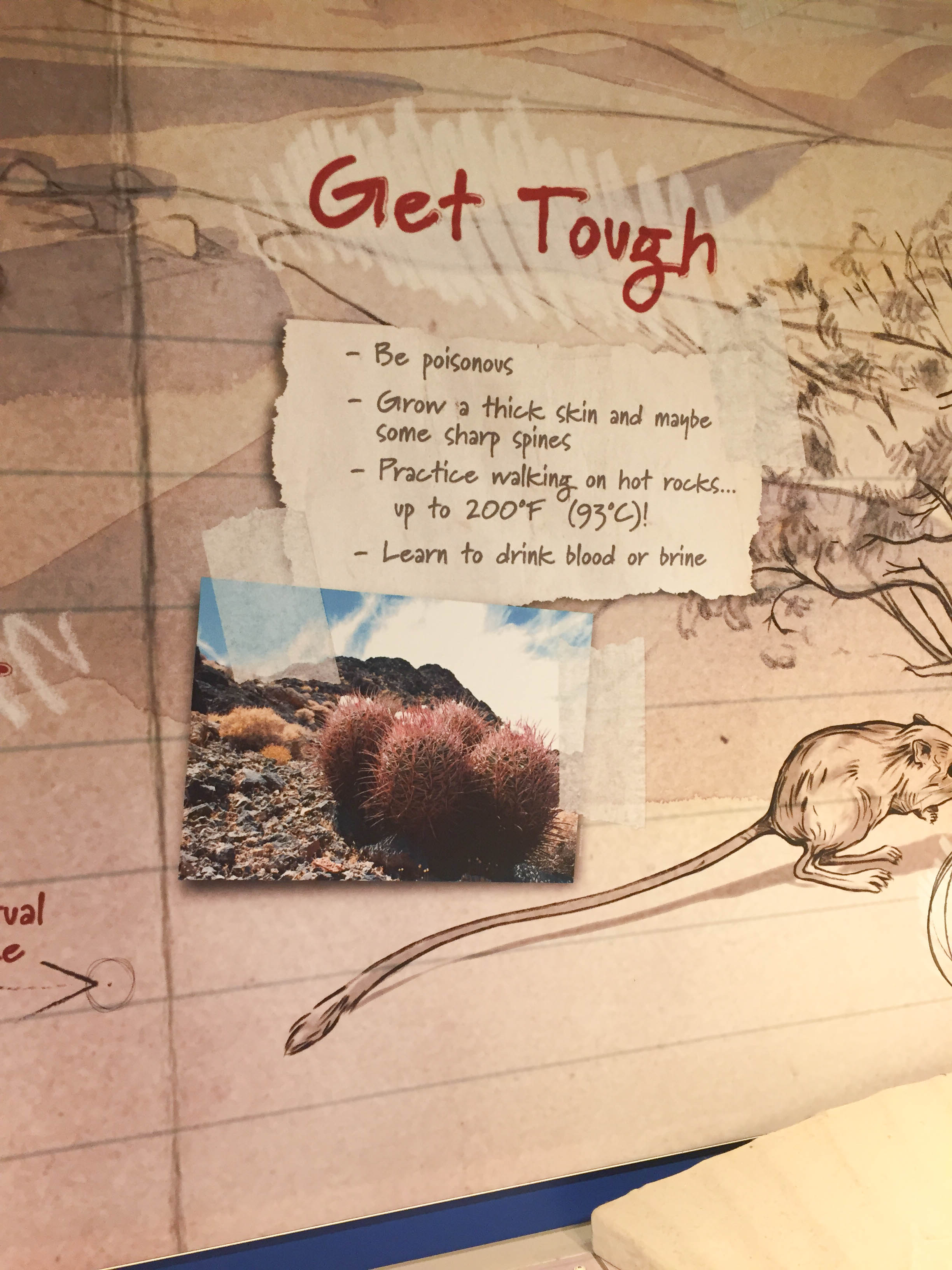 Death Valley Tour (3 of 13)