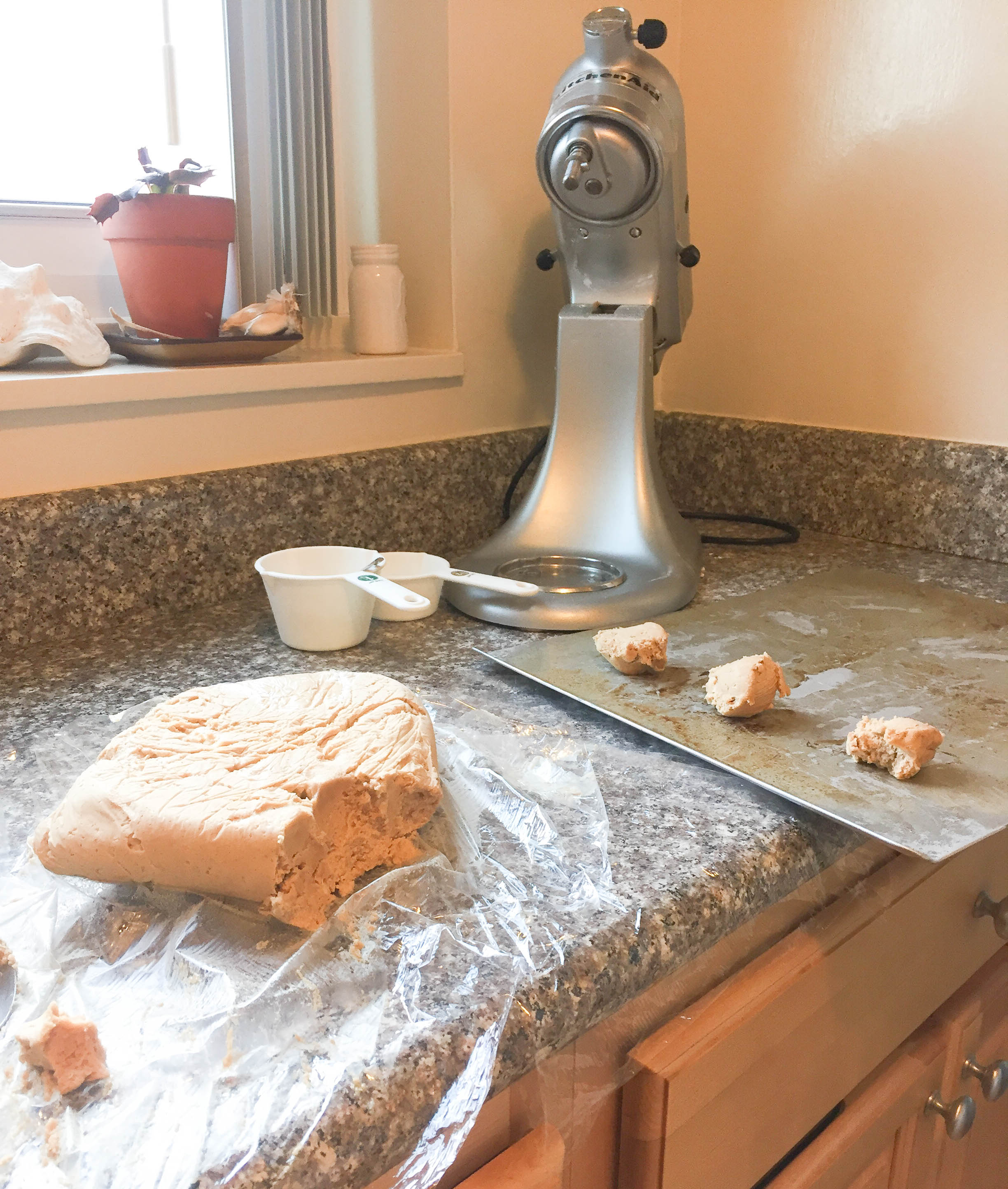 Peanut Butter Cookies (11)