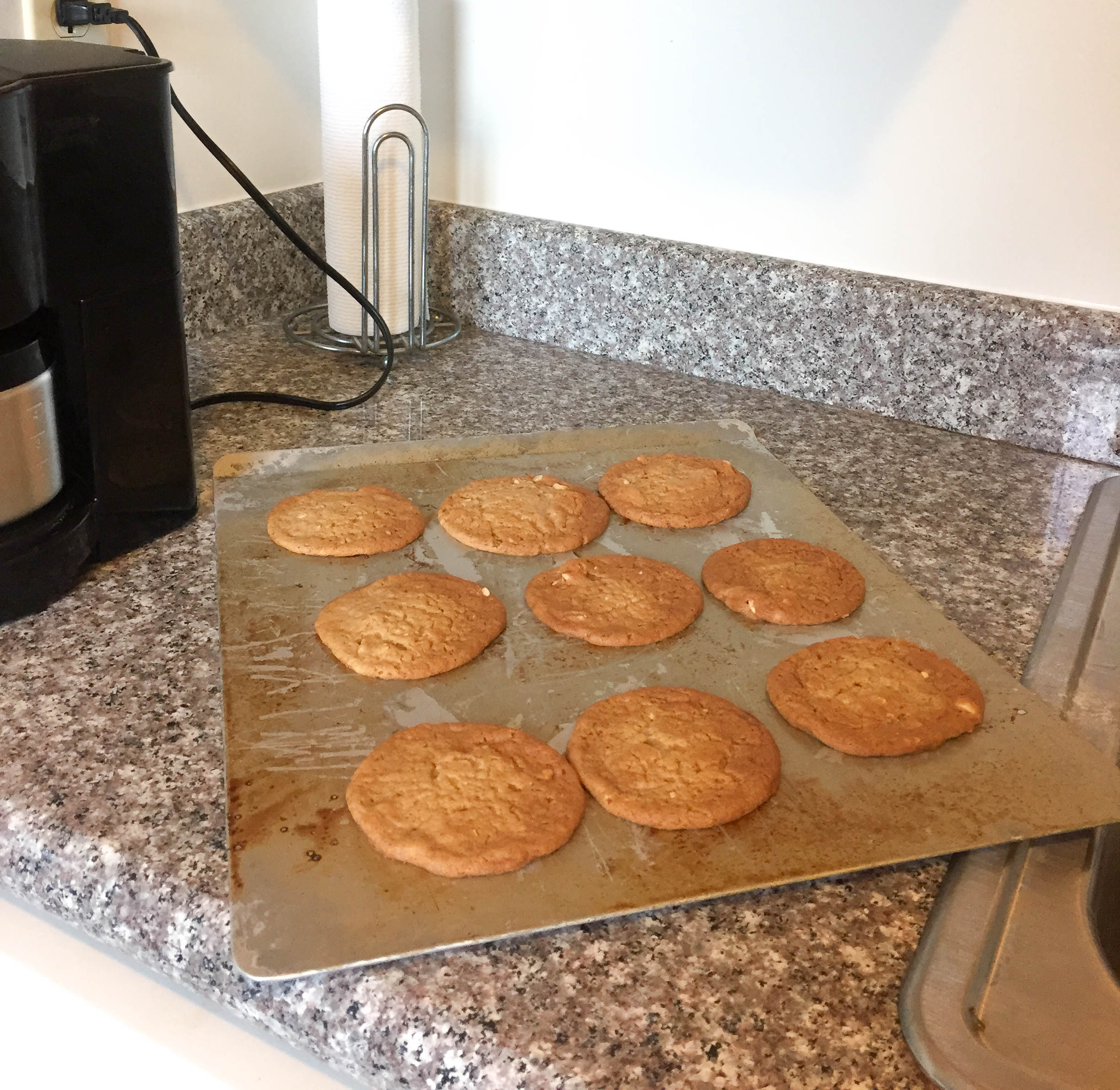 Peanut Butter Cookies (14)