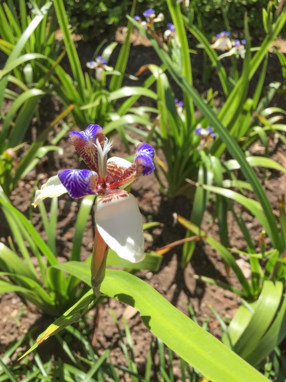 Guatemala City (8 of 17)