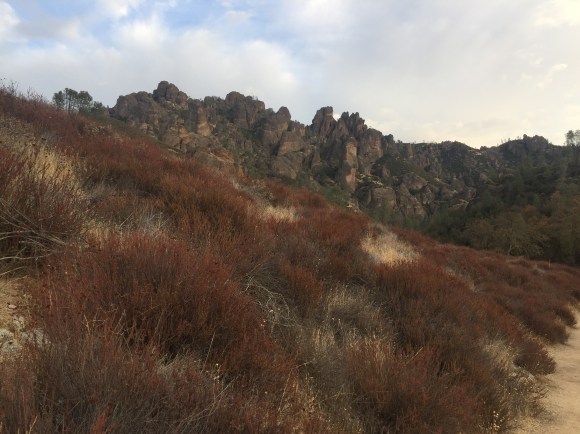 PinnaclesNationalPark (10 of 10)