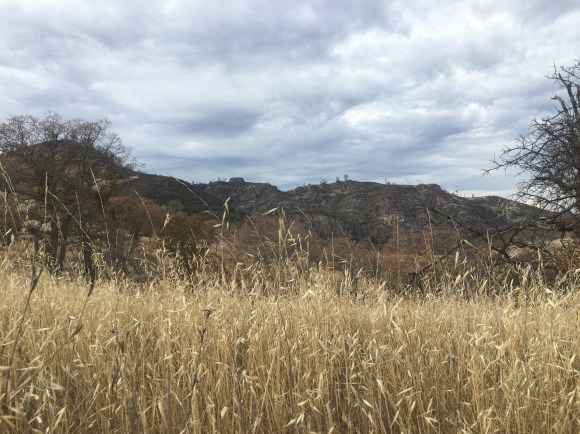 PinnaclesNationalPark (4 of 10)