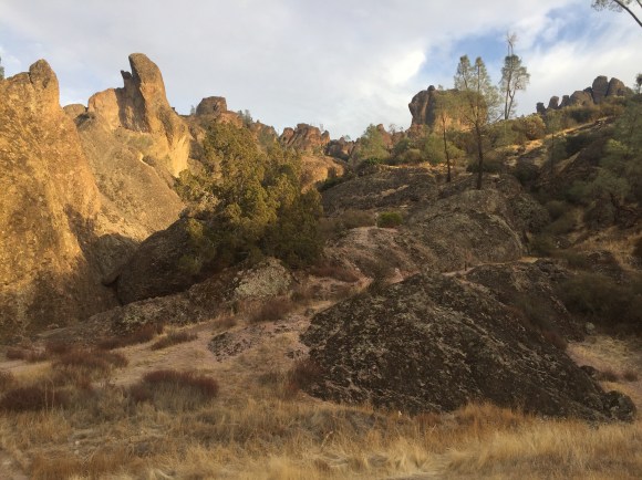 PinnaclesNationalPark (7 of 10)