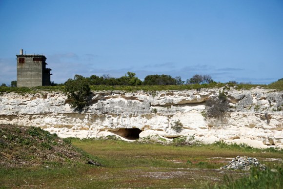 ThingToDoInCapeTown_CapeTownMarathon (3 of 26)
