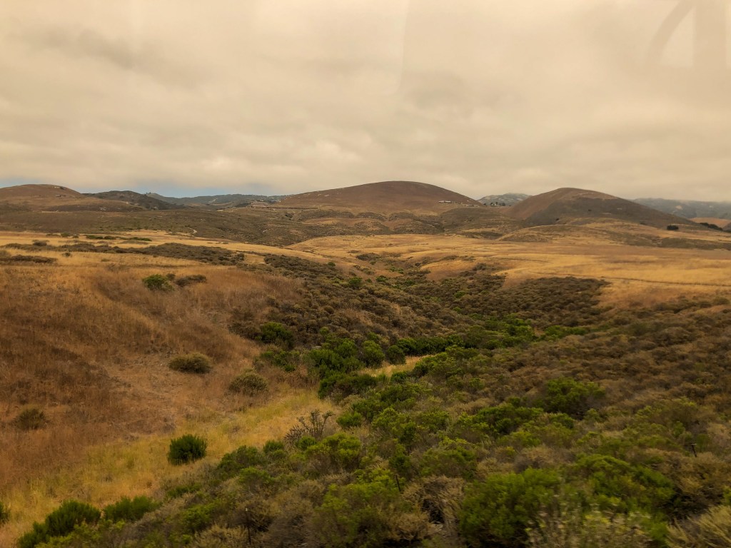 A picture of California's rolling hills. They are golden and dotted with green trees.